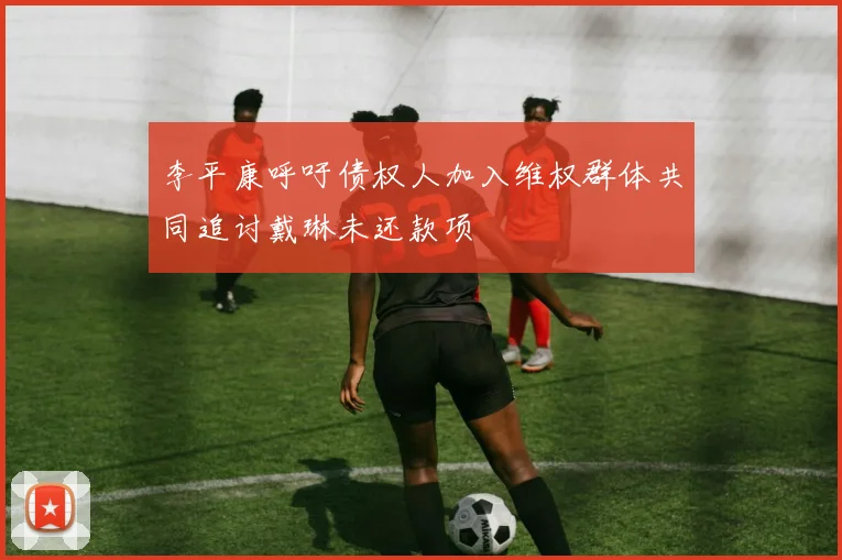 李平康呼吁债权人加入维权群体共同追讨戴琳未还款项
