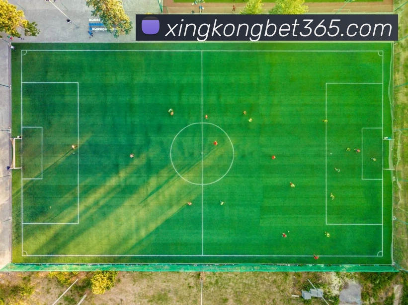 奖项图3